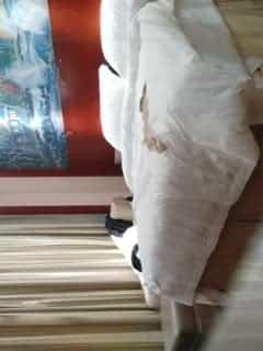 胖男探花约了个萌妹子搞一半要退单 换了个白衣妹子继续开裆肉丝口交后入猛操 很是诱惑不要错过